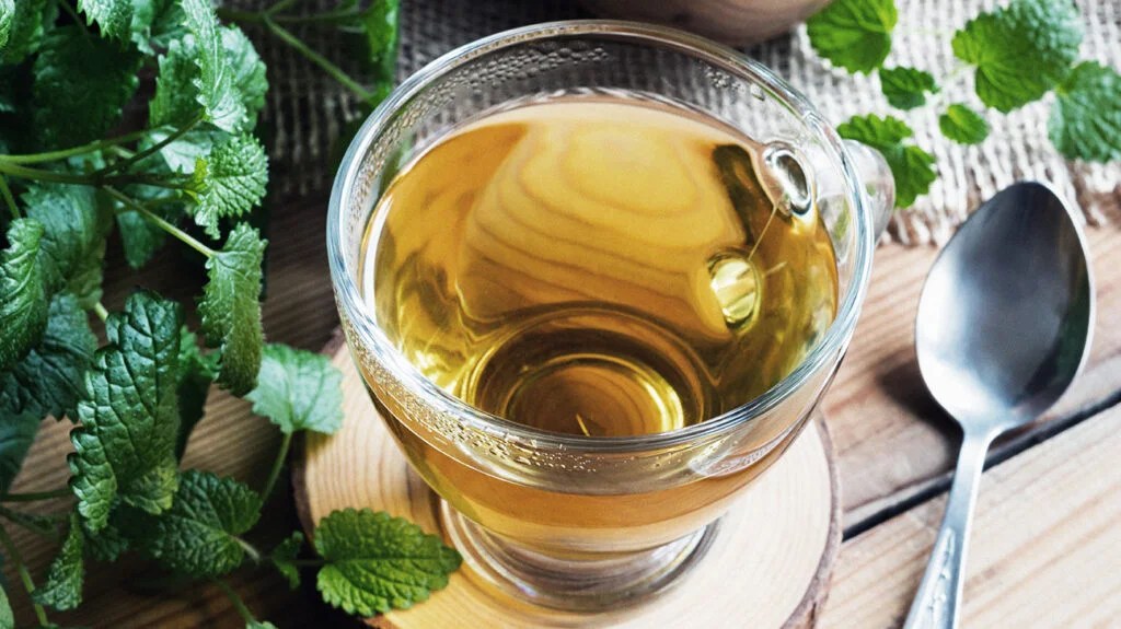 تصویر 3 از فروش عمده بادرنجبویه مرغوب + قیمت روز و کیفیت تضمینی