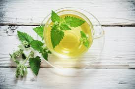 تصویر 1 از فروش عمده بادرنجبویه مرغوب + قیمت روز و کیفیت تضمینی