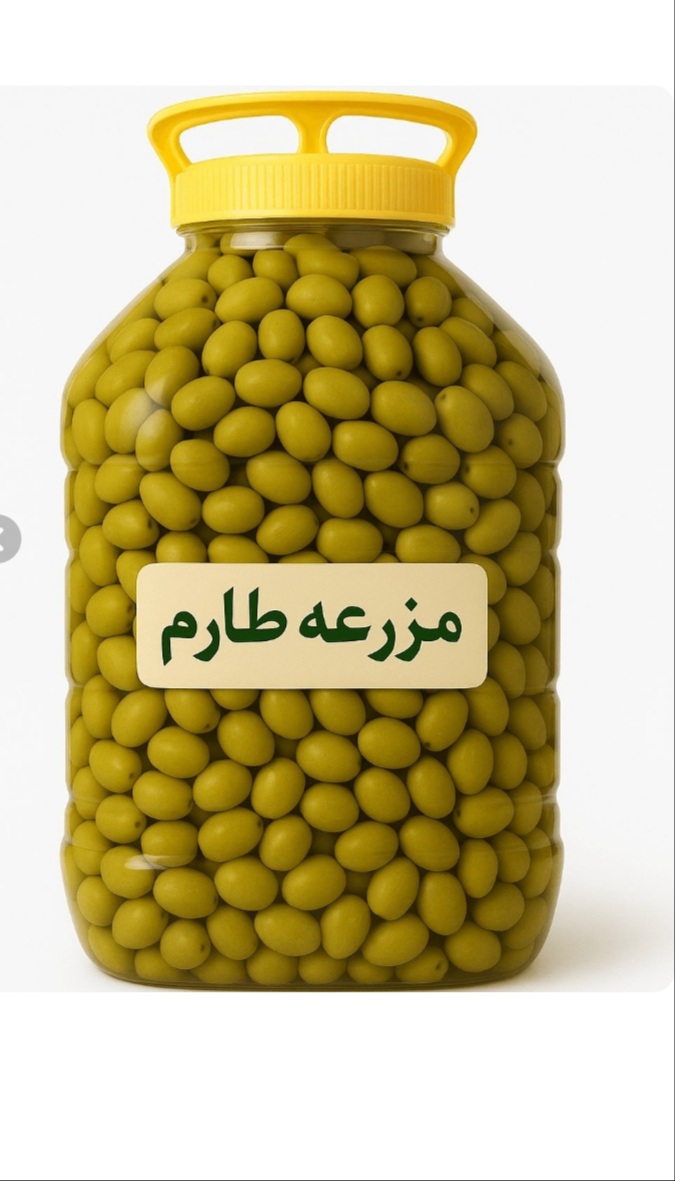 تصویر 2 از زیتون کنسروی درجه یک طارم زنجان + فروش عمده
