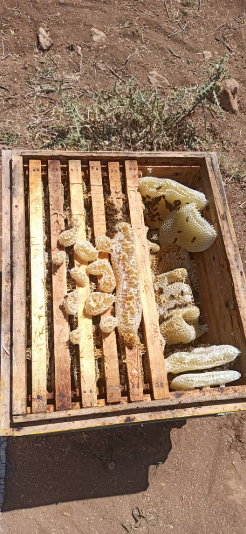 تصویر 4 از عسل ارگانیک بوقناق درجه یک اردبیل