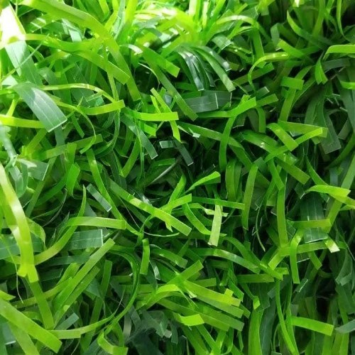 تصویر 1 از خرید چمن مصنوعی