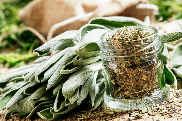 تصویر 1 از عرضه مستقیم مریم‌ گلی خشک‌ شده با قیمت رقابتی و کیفیت صادراتی