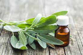 تصویر 2 از عرضه مستقیم مریم‌ گلی خشک‌ شده با قیمت رقابتی و کیفیت صادراتی