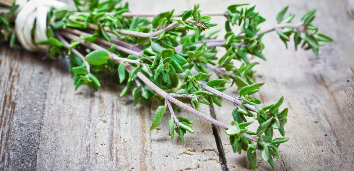 تصویر 4 از فروش عمده آویشن شیرازی خشک‌ شده مرغوب با قیمت روز و تضمینی