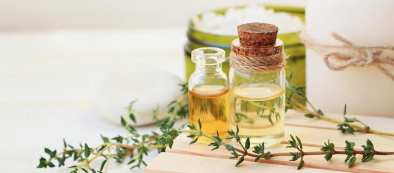 تصویر 1 از فروش عمده آویشن شیرازی خشک‌ شده مرغوب با قیمت روز و تضمینی