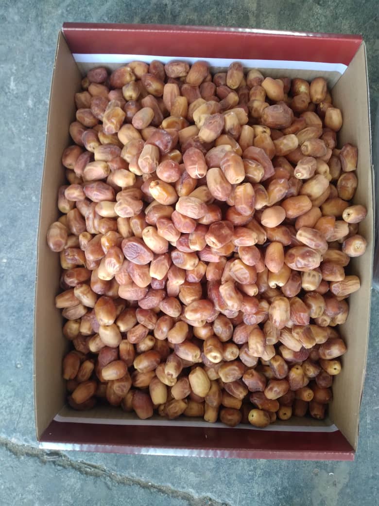 تصویر 1 از خرمای زاهدی + قیمت خرید