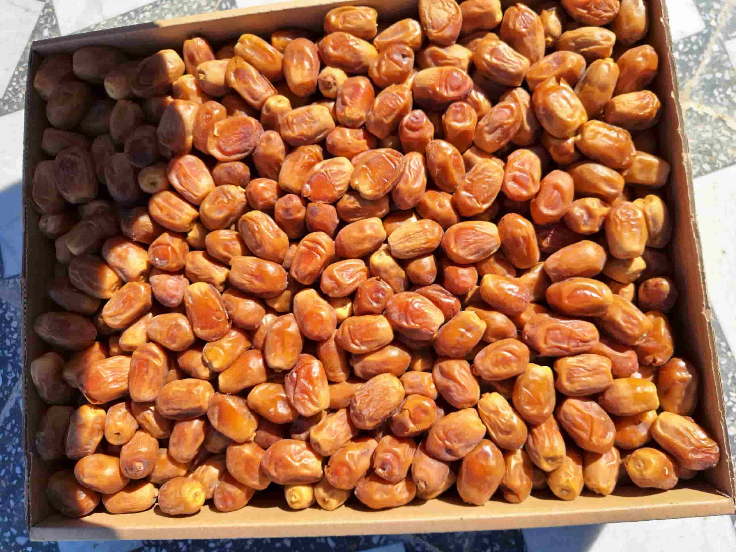 تصویر 2 از خرمای زاهدی + قیمت خرید