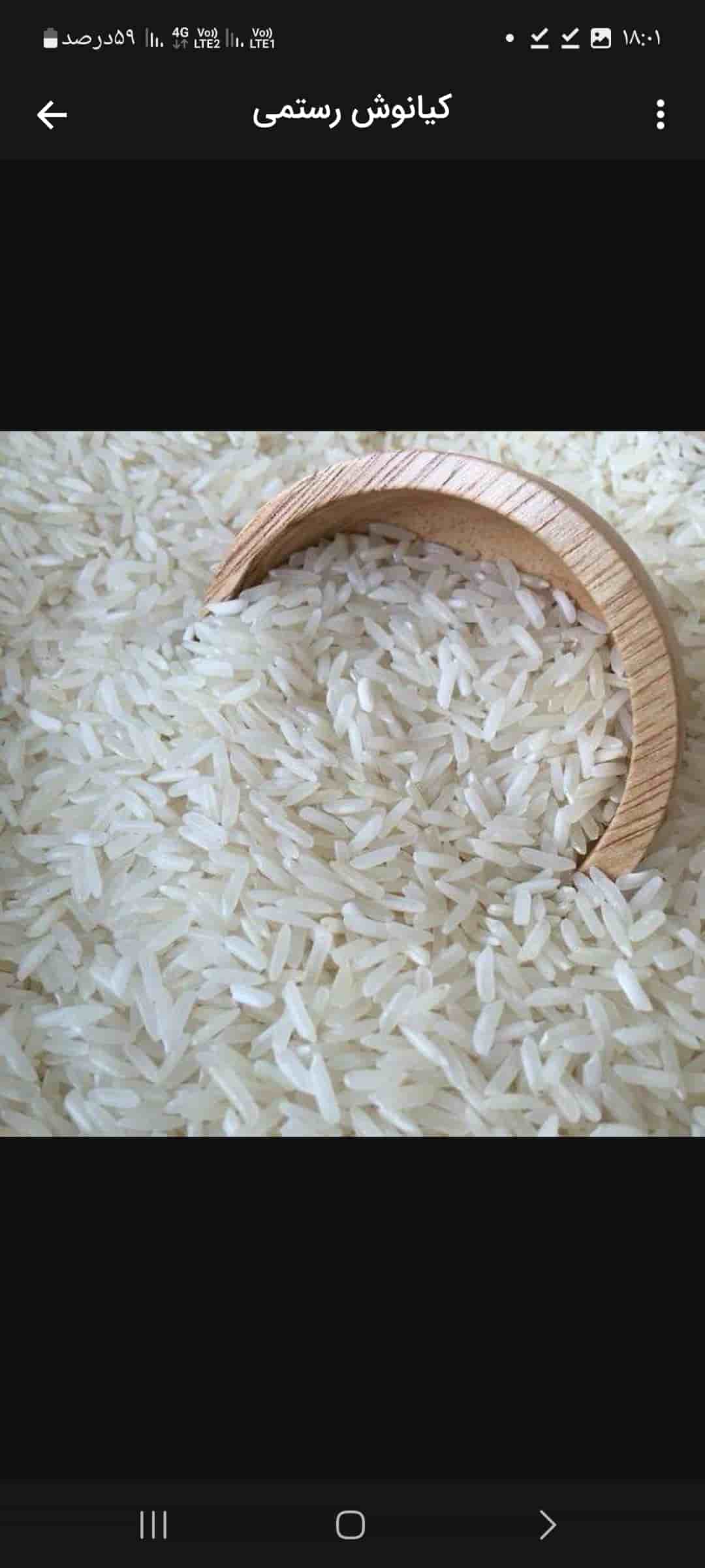 تصویر 1 از قیمت خرید برنج خشایار ۳۸۶ پاکستانی