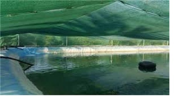 تصویر 4 از توری سایبان برای پوشش استخر خرید