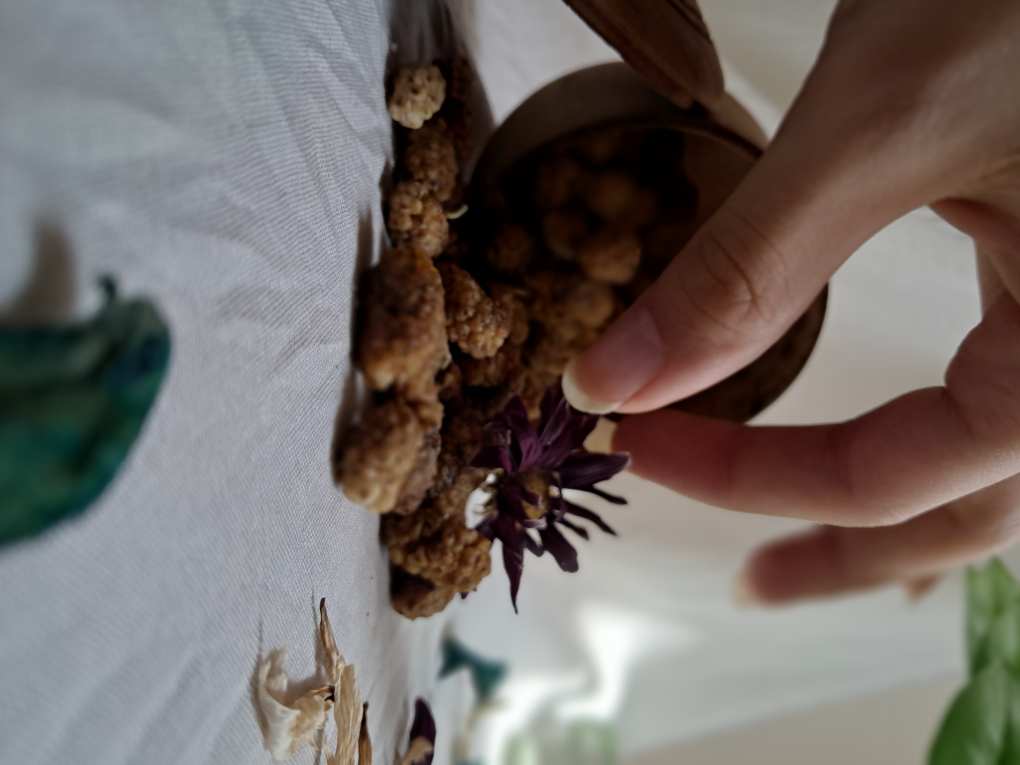 تصویر 1 از فروش فوق العاده توت خشک رسمی