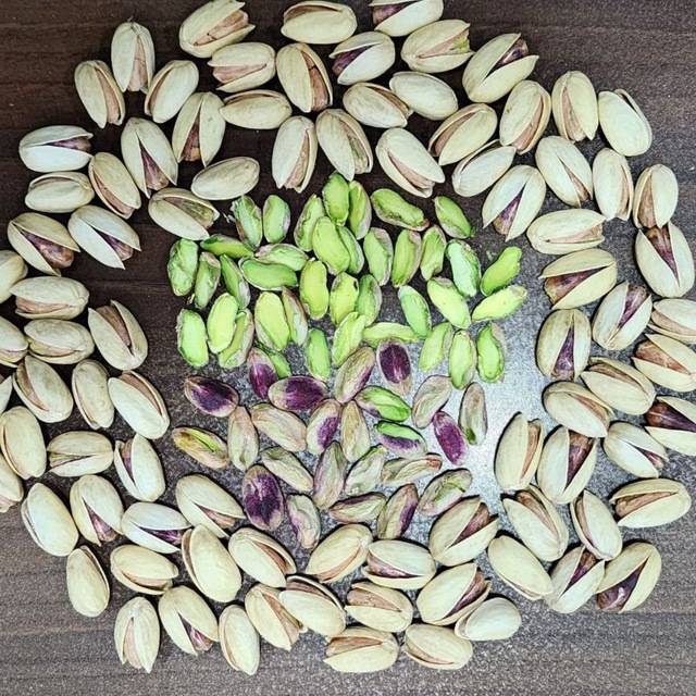 تصویر 1 از فروش پسته احمد آقایی صادراتی به‌ صورت عمده