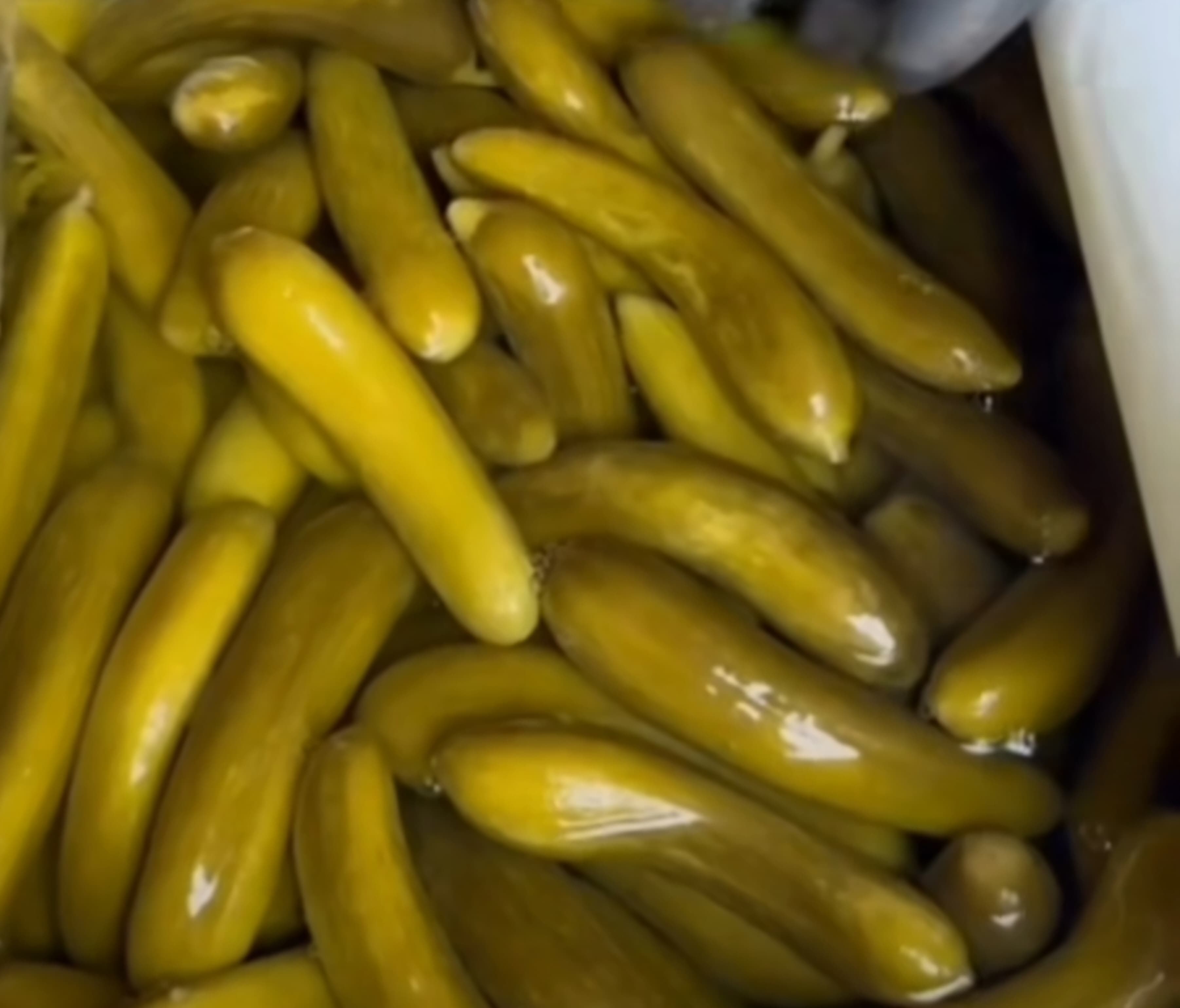 انواع خیارشور ساده + صنعتی و استاندارد