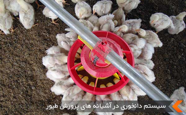 تصویر 3 از دانخوری بشقابی مرغداری + قیمت خرید صادراتی به صرفه