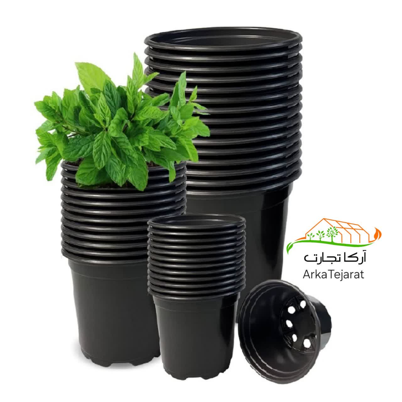 تصویر 3 از فروش عمده انواع گلدان پلاستیکی مشکی و رنگی با نازل ترین قیمت