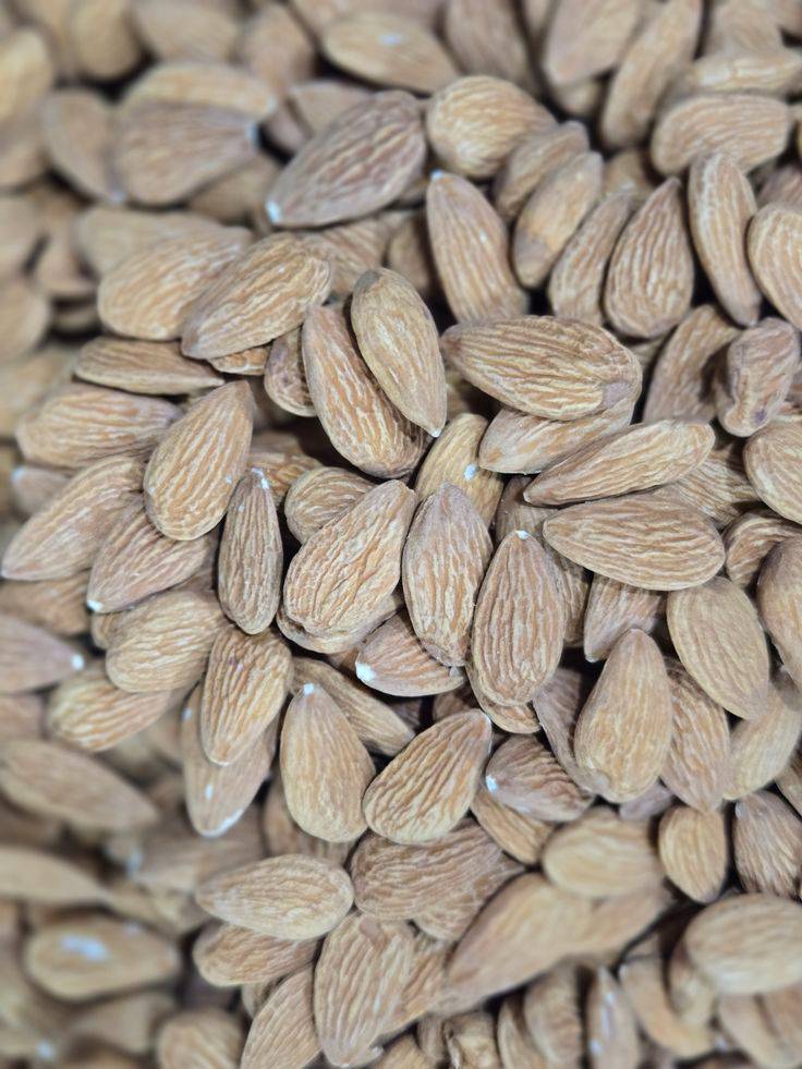 تصویر 1 از فروش ویژه بادام سنگی تضمین کیفیت