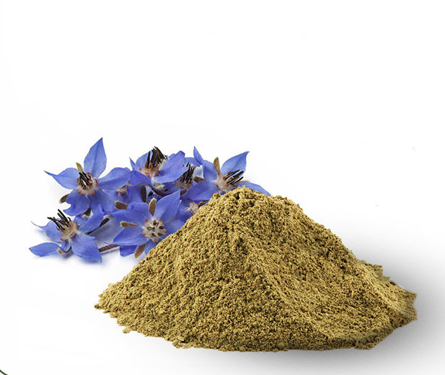 تصویر 1 از فروش عمده عصاره گل گاو زبان خشک (پودری) گرید +A