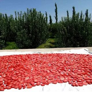 تصویر 3 از خرید انلاین رب گوجه فرنگی + کیفیت عالی به صرفه