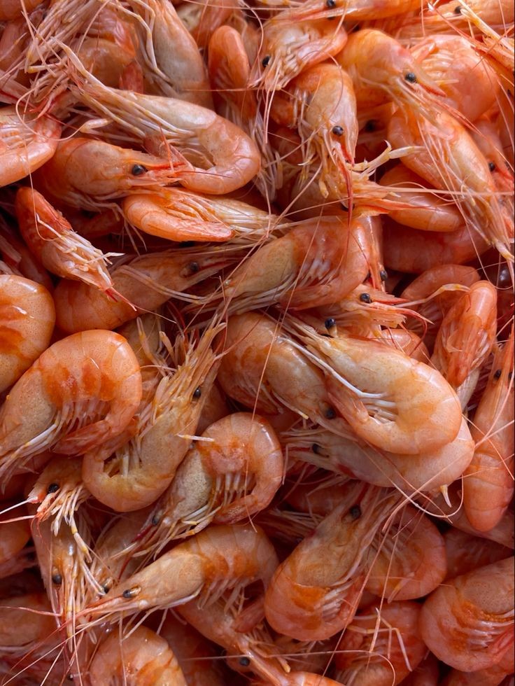 تصویر 1 از میگو صورتی + قیمت استثنایی