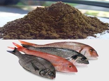خرید پودر ماهی به صرفه آبزی پروری