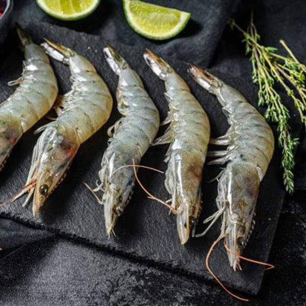 تصویر 1 از شاه میگوی آبی + قیمت به‌ صرفه