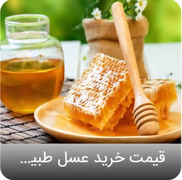 تصویر 5 از خرید نقدی عسل گیاهی + تخفیف ویژه