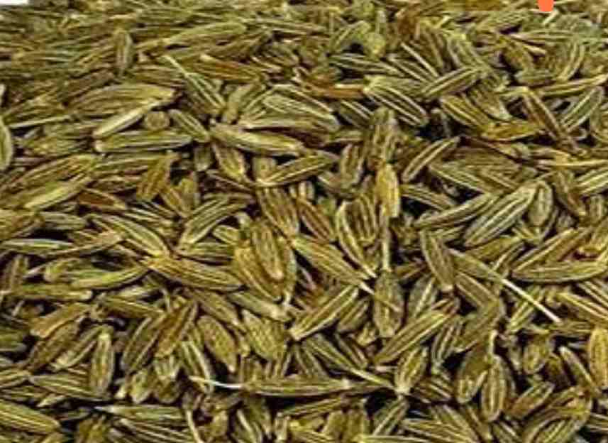 فروش ویژه زیره سبز صادراتی سبزوار