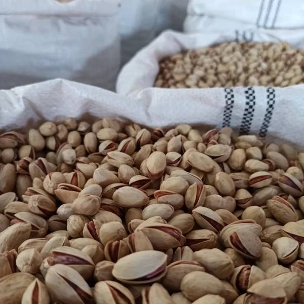 تصویر 2 از قیمت خرید پسته احمد آقایی خام با فروش عمده