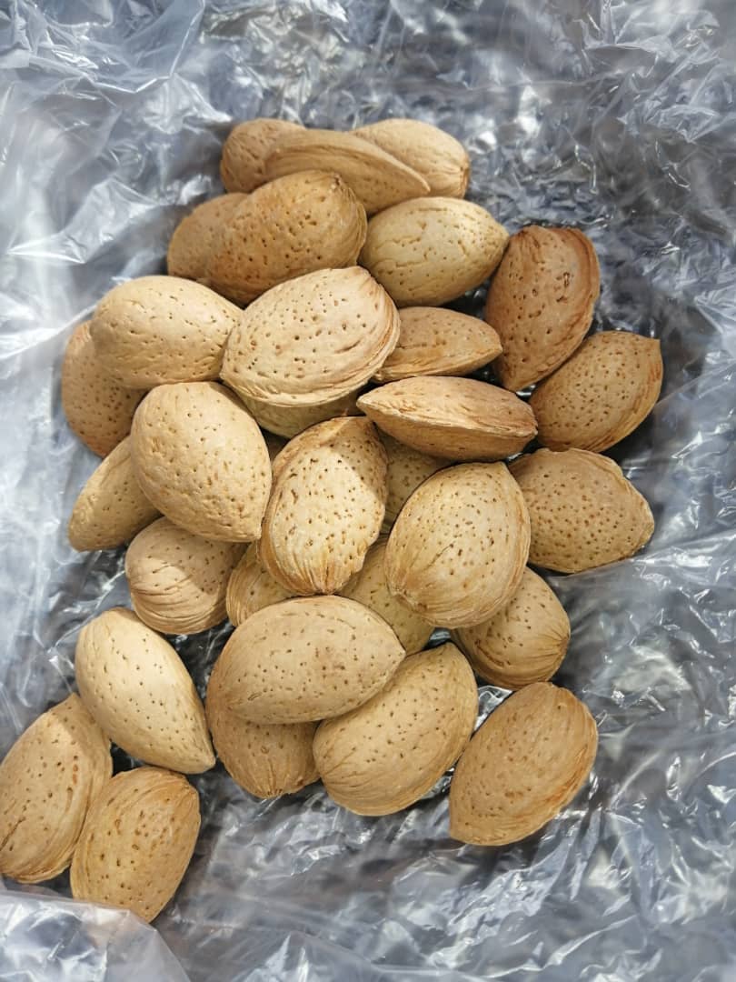 تصویر 3 از خرید مغز بادام سنگی + فروش استثنایی