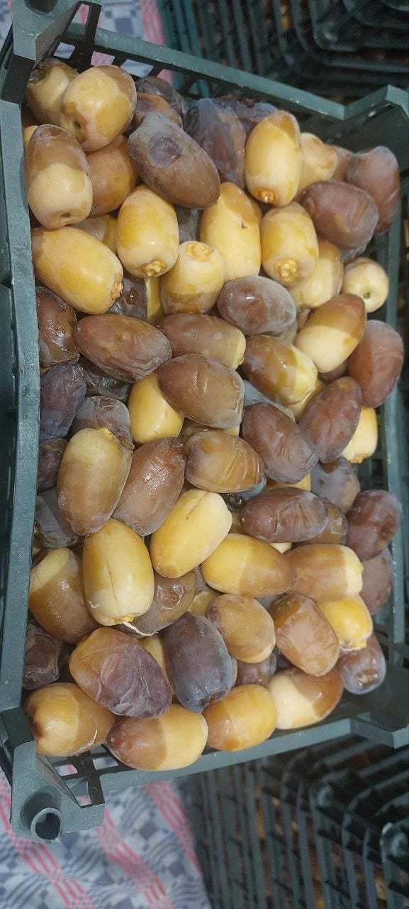 تصویر 2 از قیمت خرما رطب درجه یک + خرید باور نکردنی