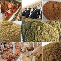 خرید پودر ماهی بلوچستان