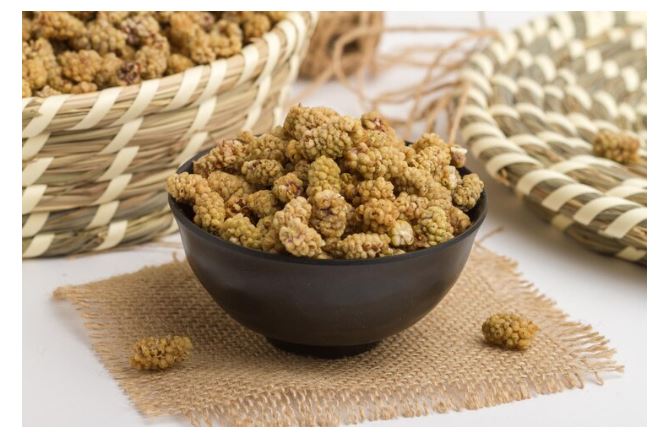 خرید و فروش عمده توت خشک