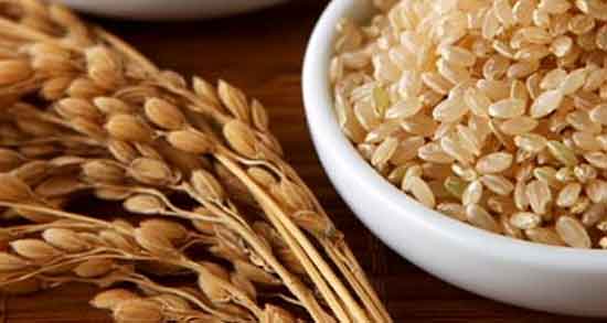 تصویر 2 از خرید اینترنتی برنج سبوس‌ دار کامفیروز + ارسال سریع