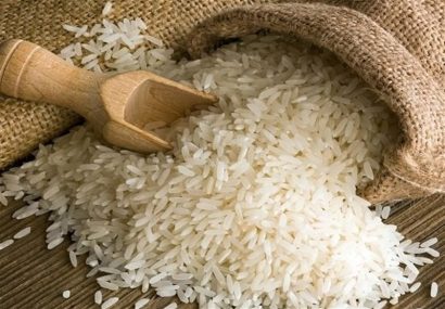 تصویر 3 از فروش ویژه برنج عنبر بو اصل + قیمت رقابتی