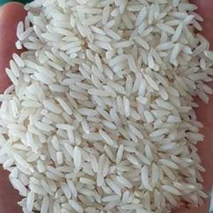 تصویر 1 از فروش ویژه برنج عنبر بو اصل + قیمت رقابتی