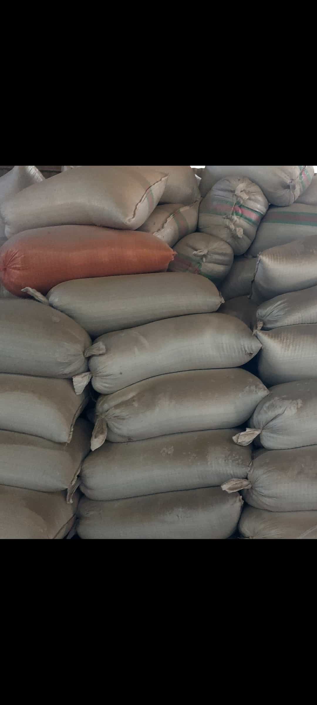 تصویر 4 از قیمت خرید شالی + شلتوک برنج عنبر بو