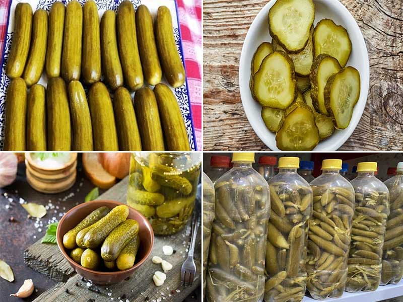 تصویر 3 از قیمت خرید خیارشور دبه ای نول عمده به صرفه و ارزان