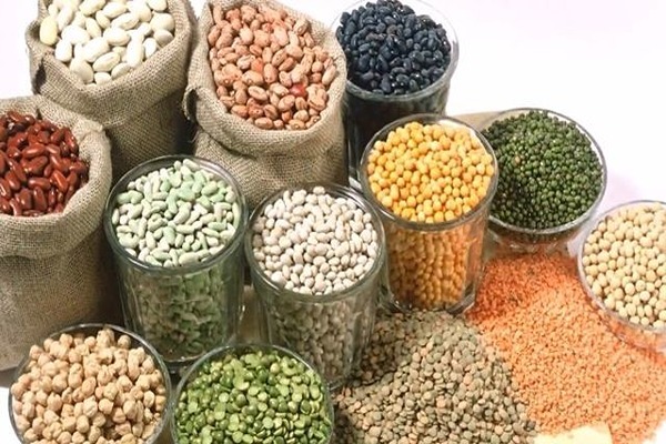 تصویر 3 از فروش و قیمت کنسرو حبوبات + خرید عمده