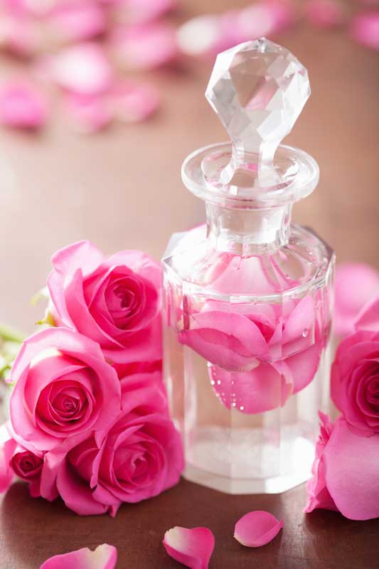قیمت ویژه گلاب میمند