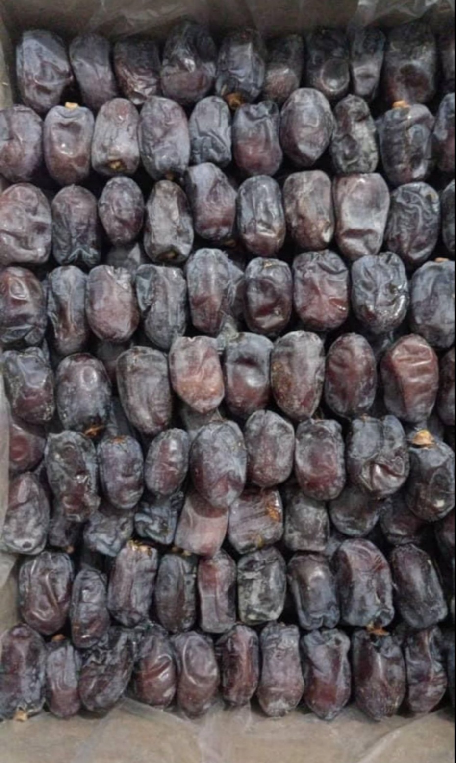 خرما کلوته درجه یک رنگ طبیعی و پر انرژی