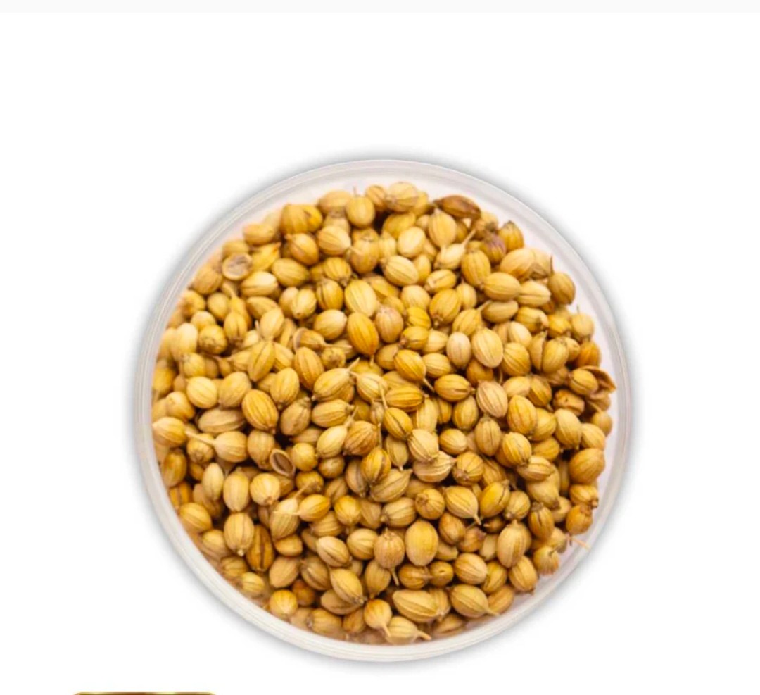 تصویر 2 از فروش بذر عمده گشنیز صادراتی و ارگانیک