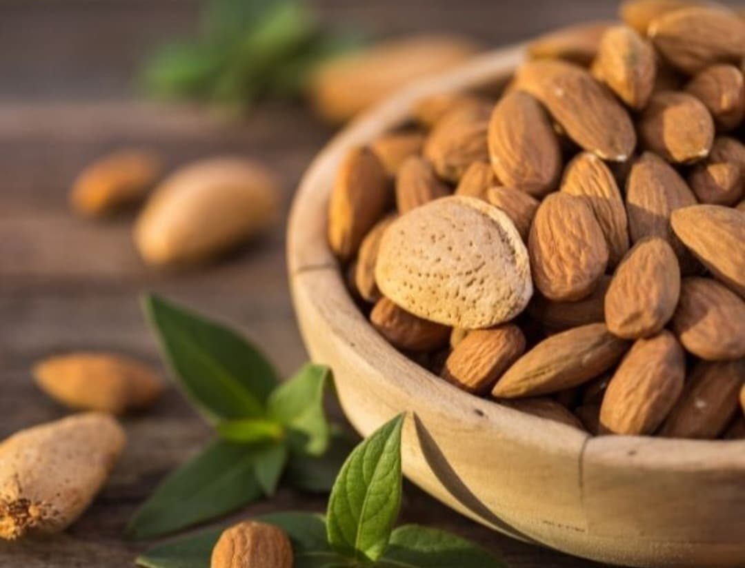 فروش عمده بادام درختی مرغوب ایرانی