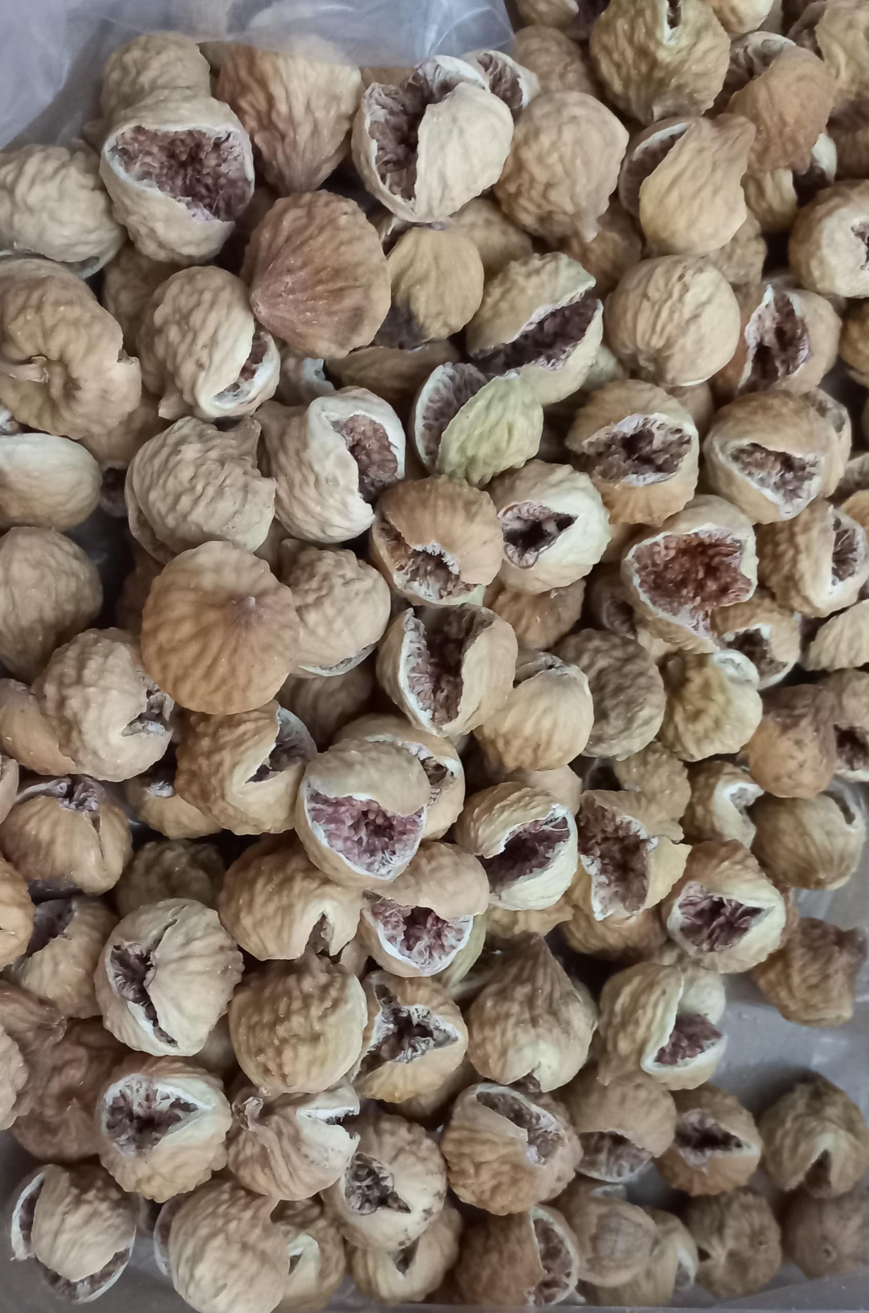 انجیر صد یک