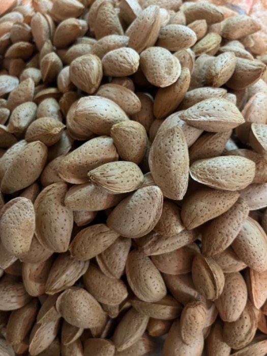 تصویر 1 از مرکز فروش بادام سنگی ارگانیک + خرید مستقیم از تولید کننده