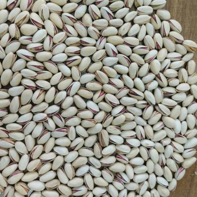 تصویر 3 از خرید پسته اکبری درجه یک + قیمت عالی با کیفیت