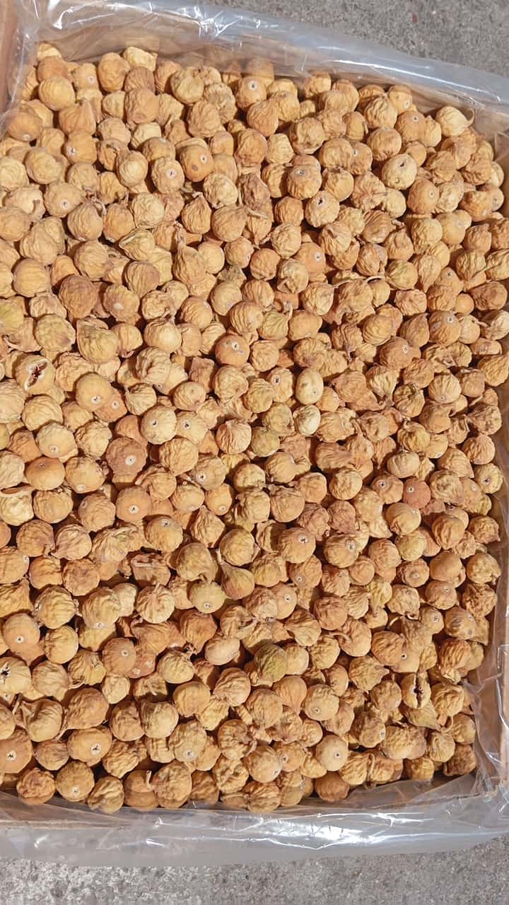 تصویر 3 از خرید انجیر خشک اعلا + شرایط ویژه
