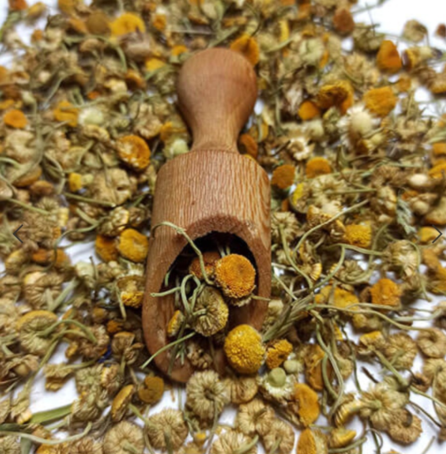تصویر 2 از خرید عمده گل بابونه
