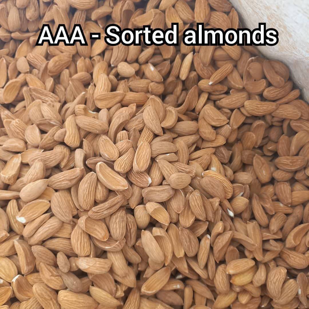 تصویر 4 از خرید بادام مامایی صادراتی کیفیت ممتاز با بسته‌ بندی لوکس