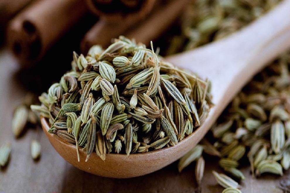 عصاره خوراکی رازیانه + قیمت استثنایی