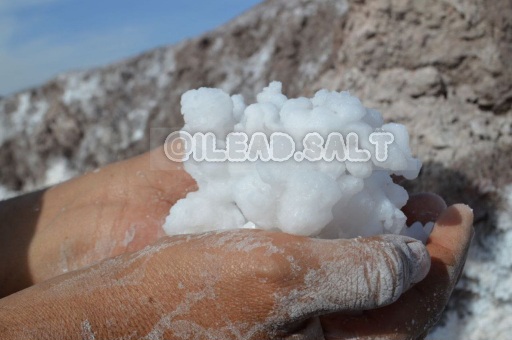 نمک چشمه خالص طبی طبیعی خرید فروش عمده