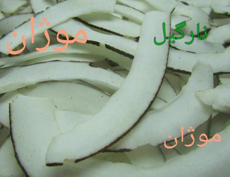 تصویر 1 از خرید میوه خشک نارگیل + قیمت ویژه